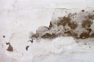 No sabes lo importante que es en una vivienda la luz y la iluminación